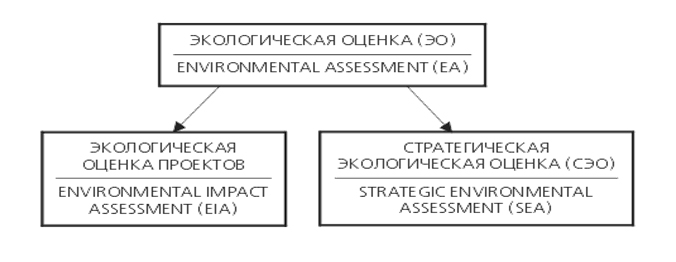 Стратегическая оценка